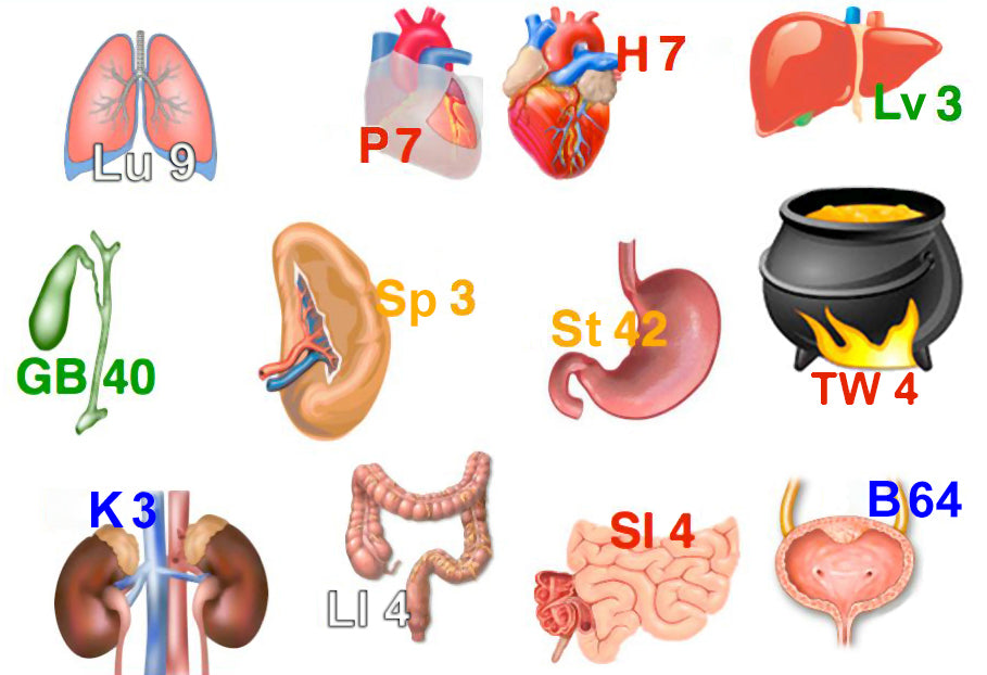 Acupressure 1st Aid Training